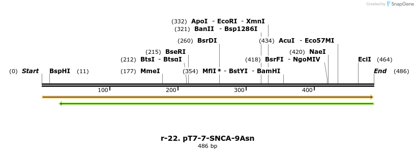 202427_map