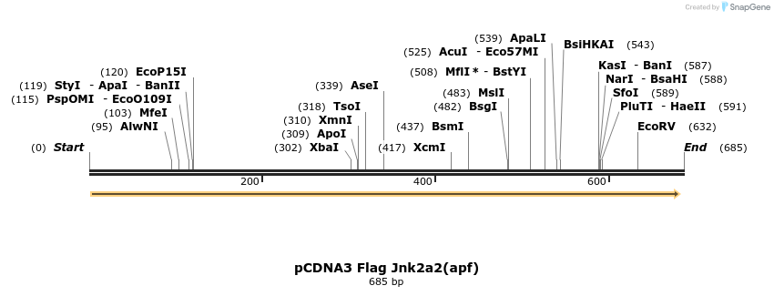 20246_map