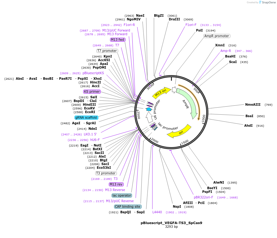 202512_map