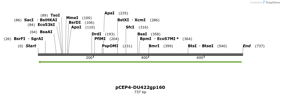 202583_map