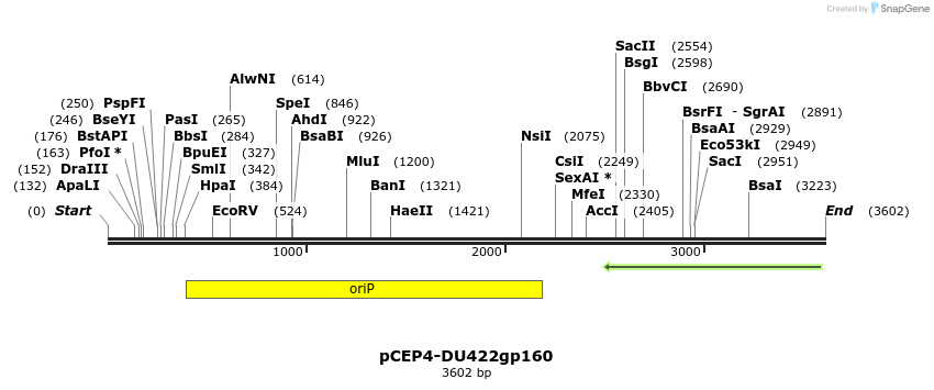 202585_map
