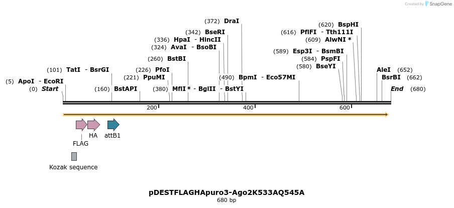 20260_map