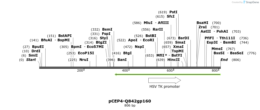 202602_map