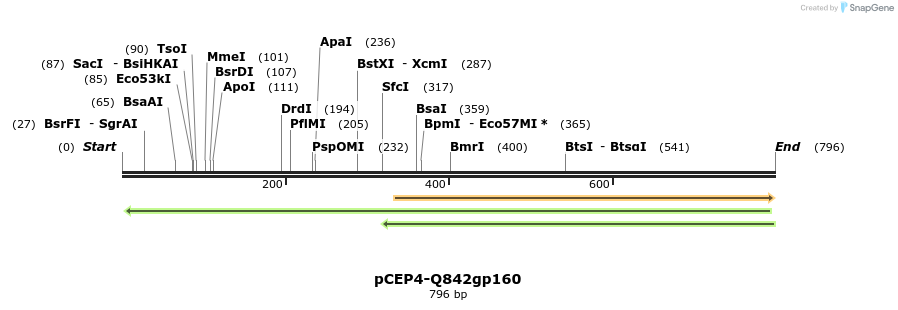 202603_map
