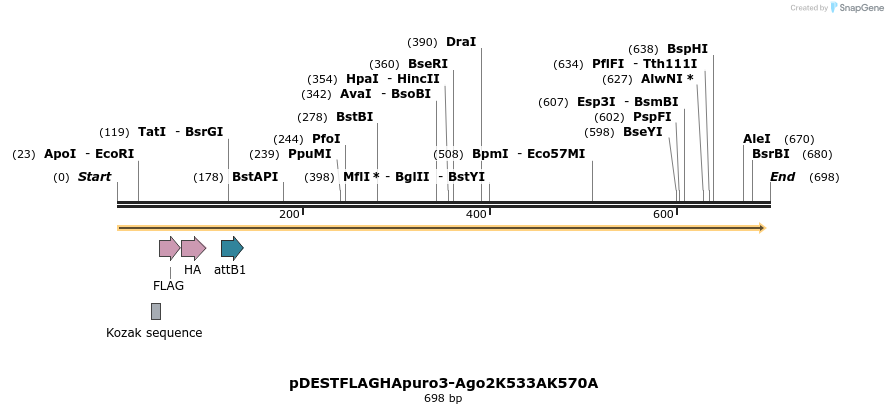 20261_map