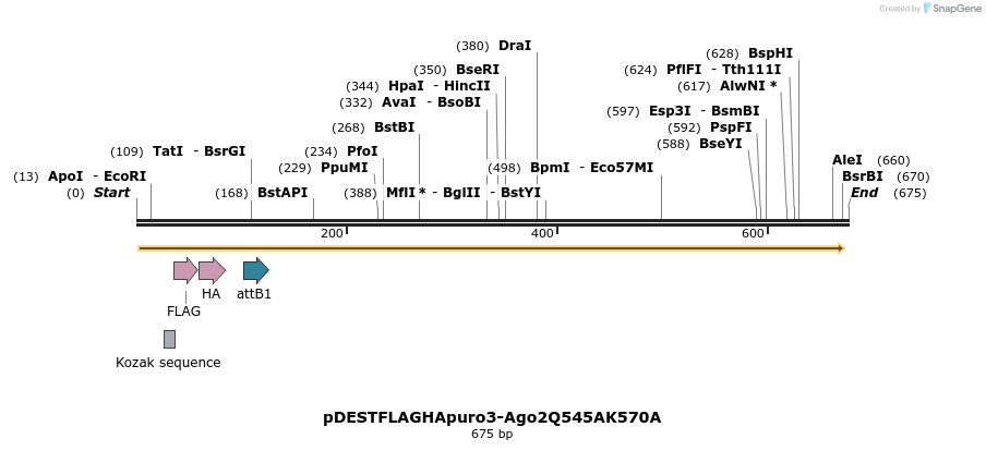 20262_map