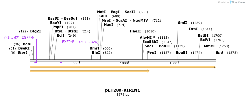 202625_map