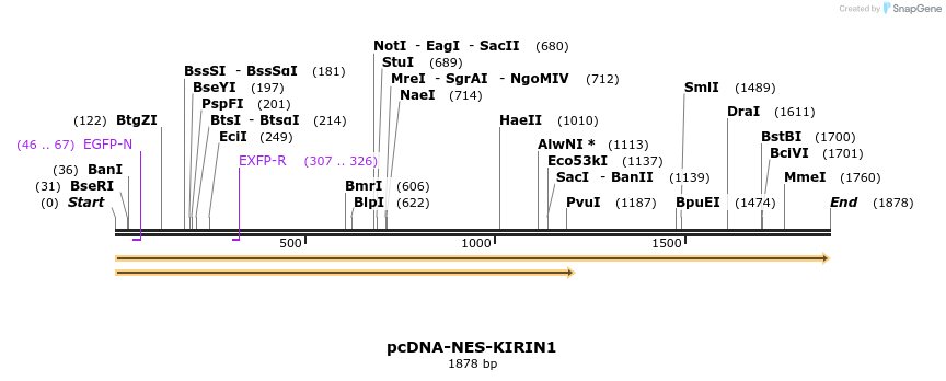 202627_map