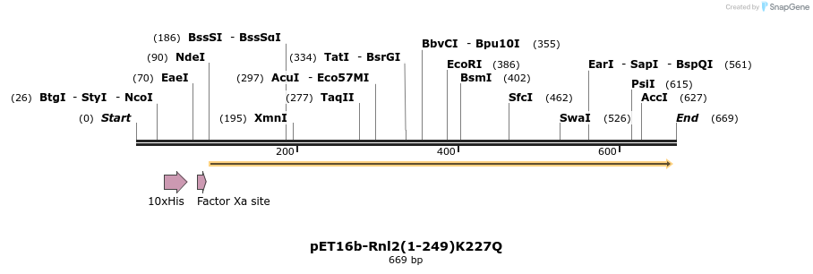 20263_map