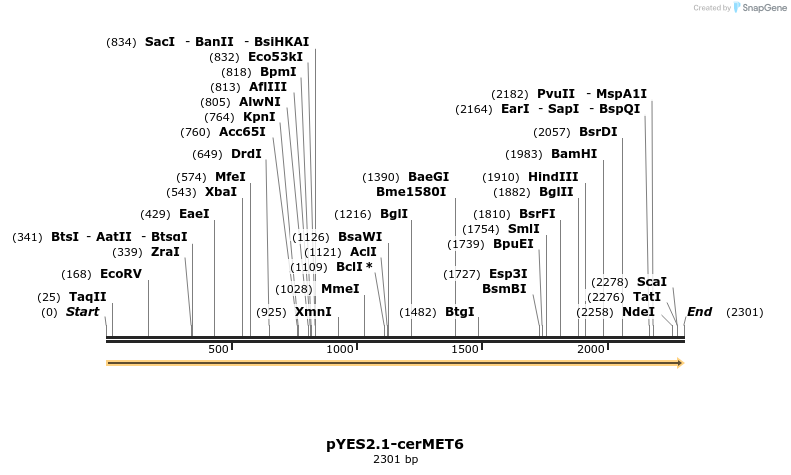 202660_map