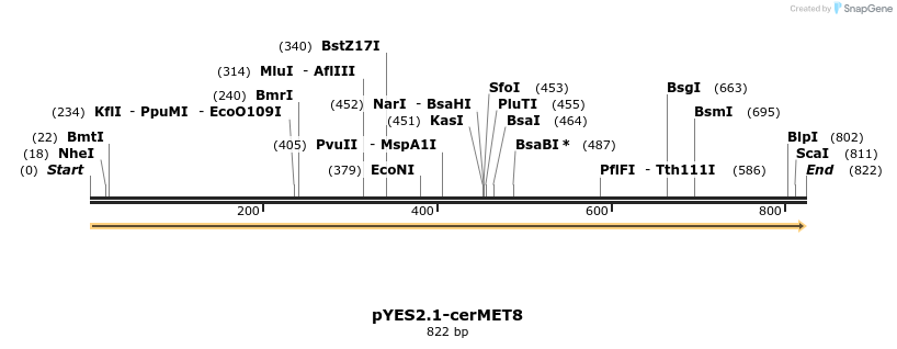 202662_map