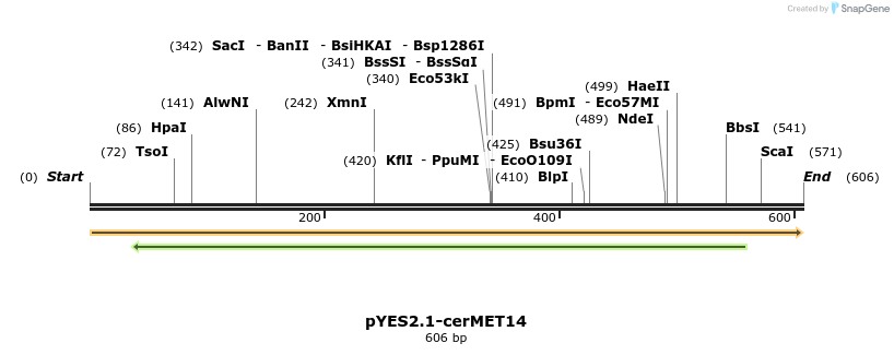 202666_map