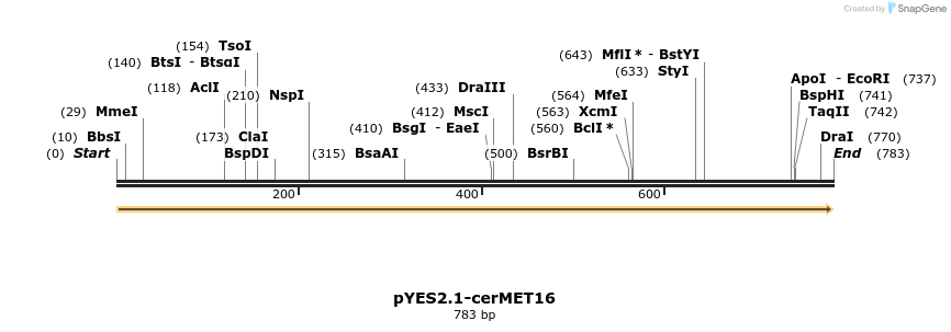 202668_map