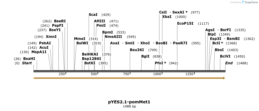 202672_map