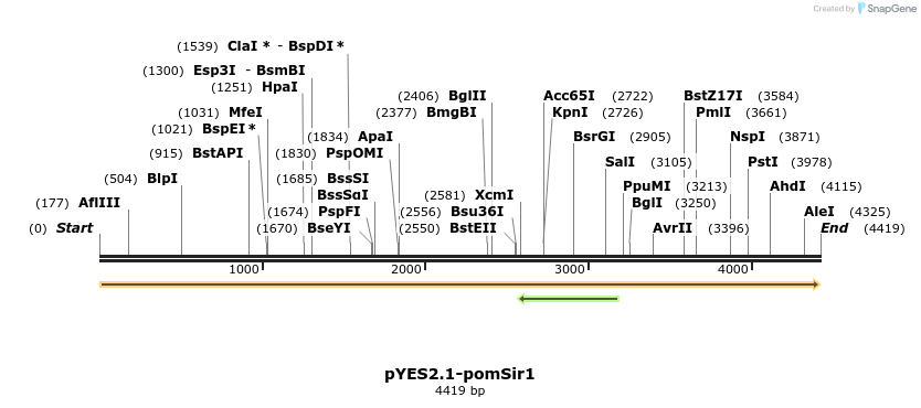 202678_map