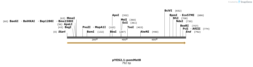202682_map