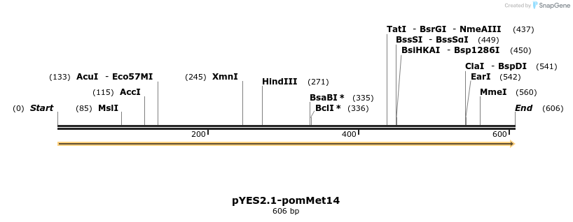 202686_map