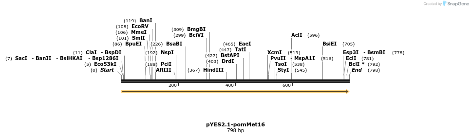 202688_map