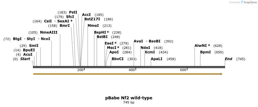 20272_map