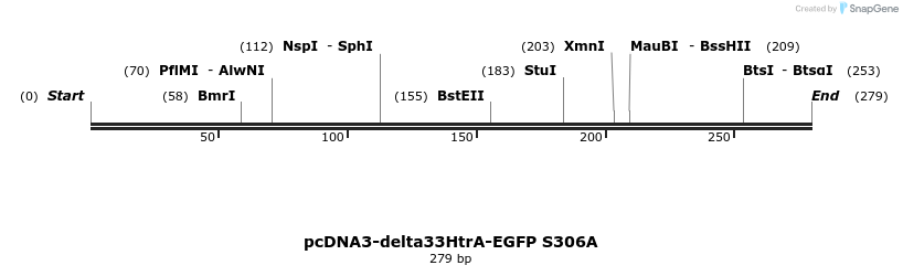 20277_map
