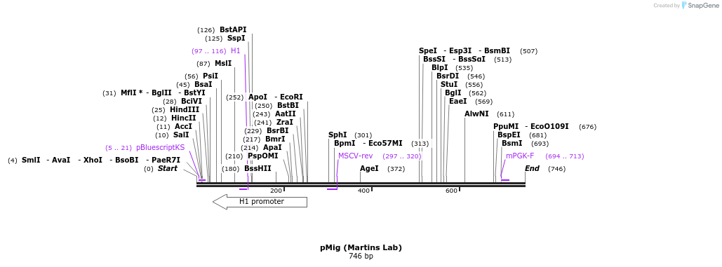 20280_map