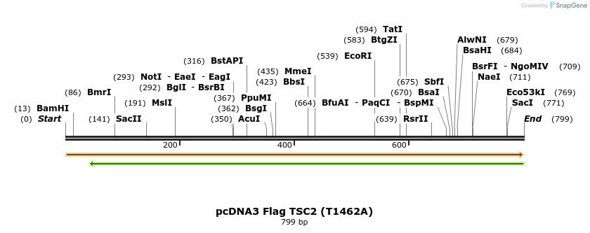 20285_map