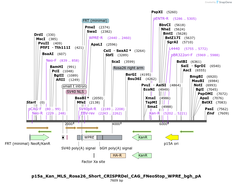 202870_map