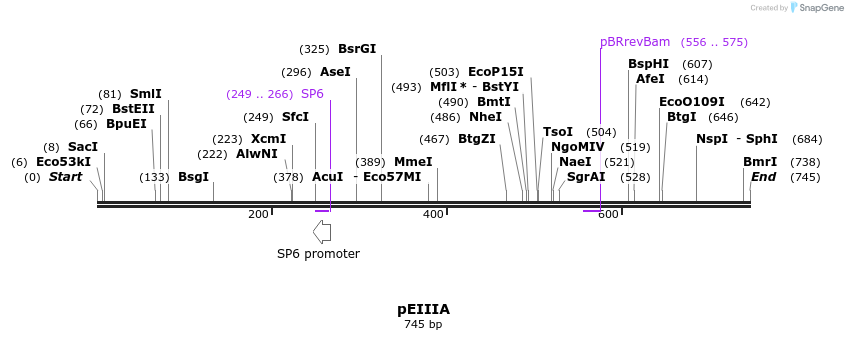 20290_map
