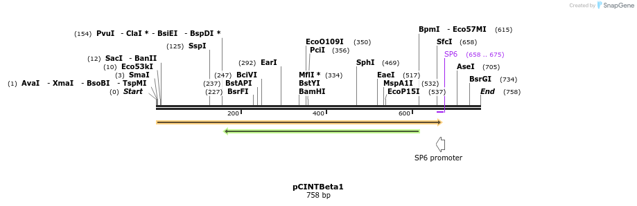 20295_map