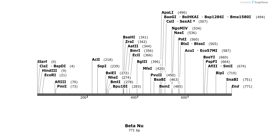 20297_map