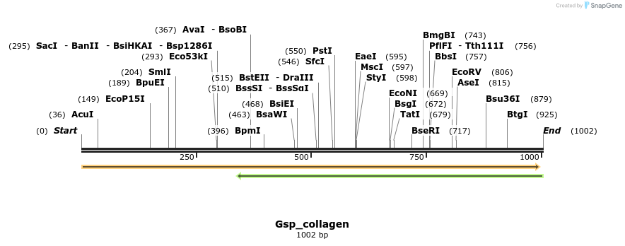 202978_map