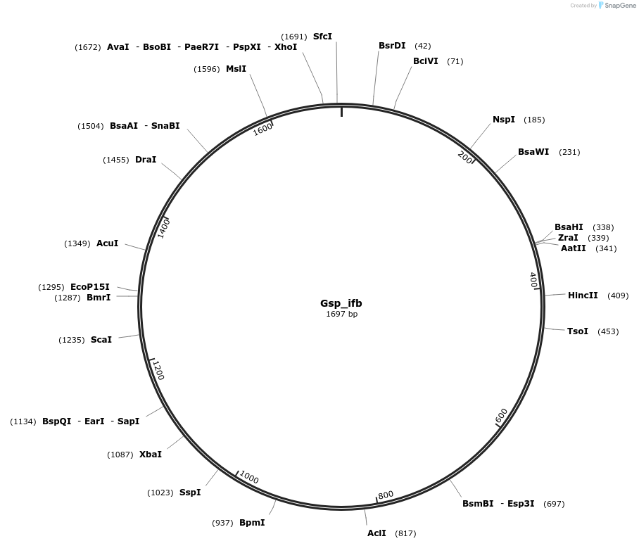 202979_map