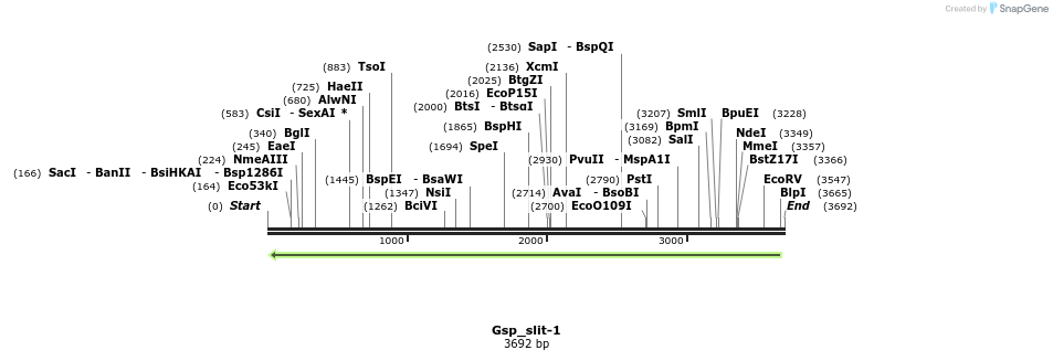 202980_map