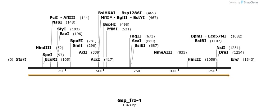202982_map