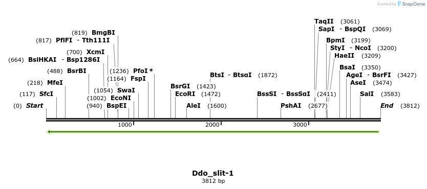 202992_map