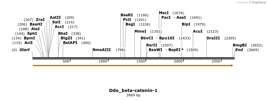 202995_map