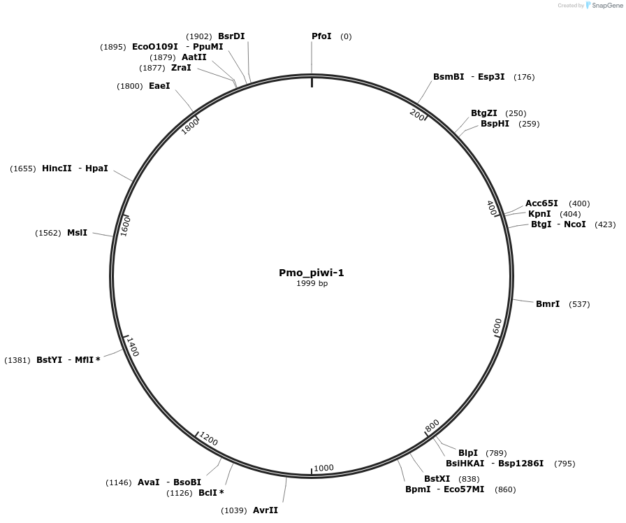 202996_map
