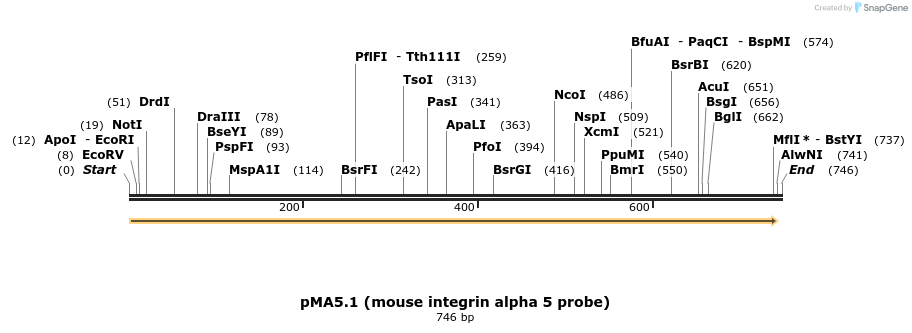 20300_map