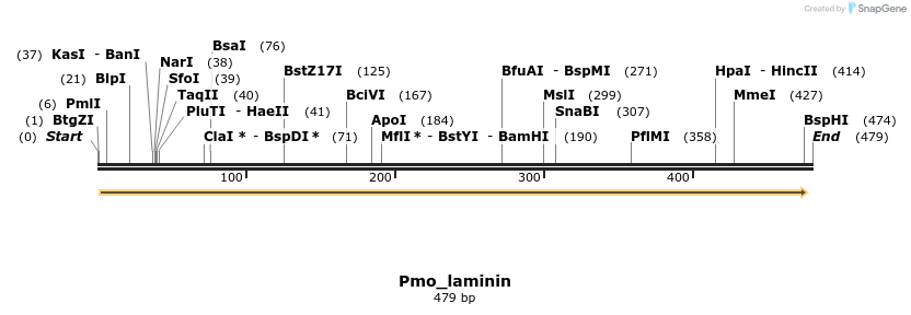 203000_map