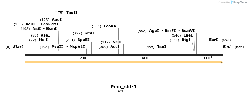 203004_map