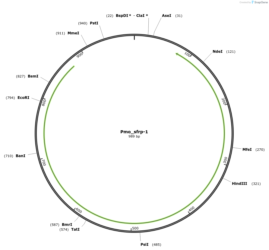 203005_map