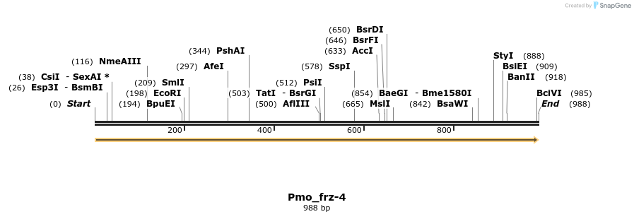 203006_map