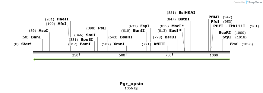 203011_map