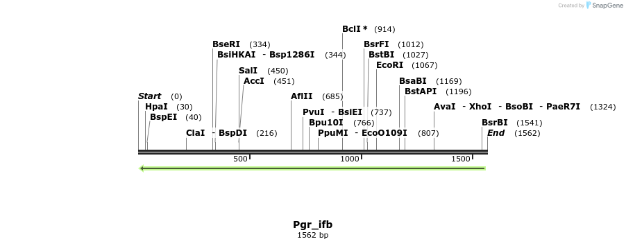 203016_map