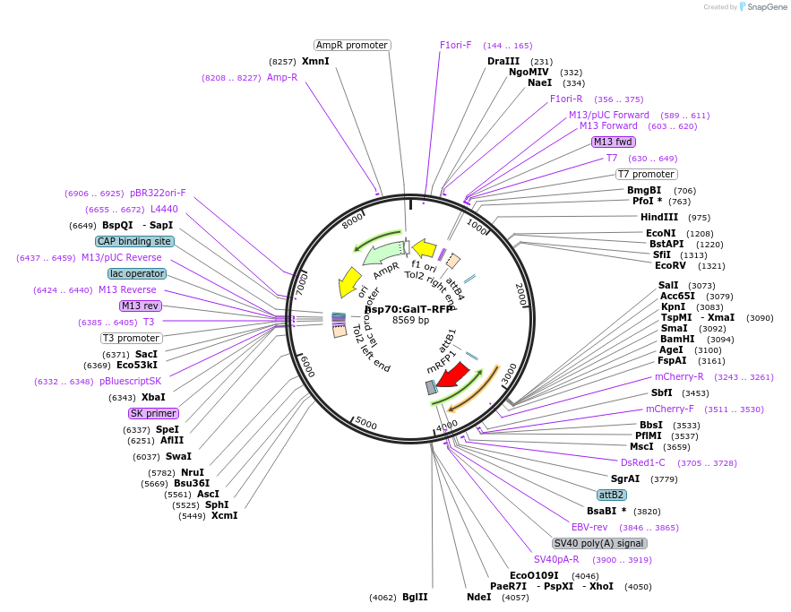 203031_map