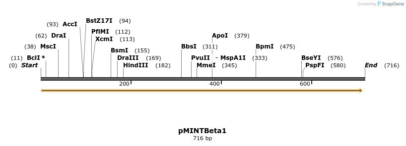20305_map