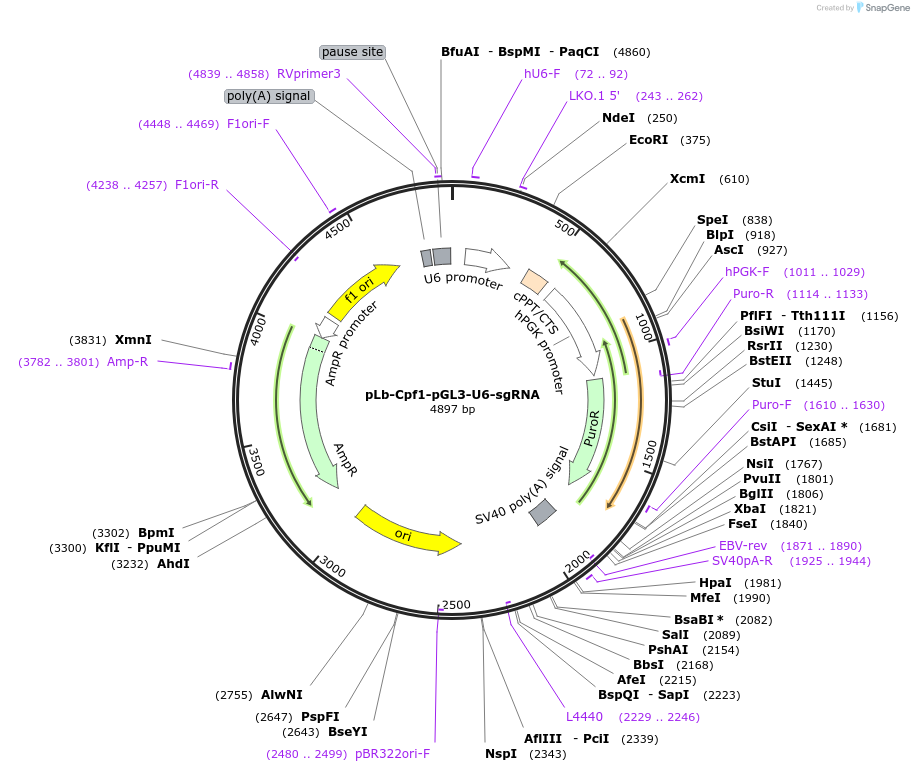 203059_map