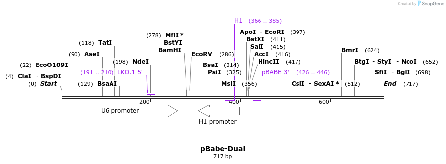 20306_map