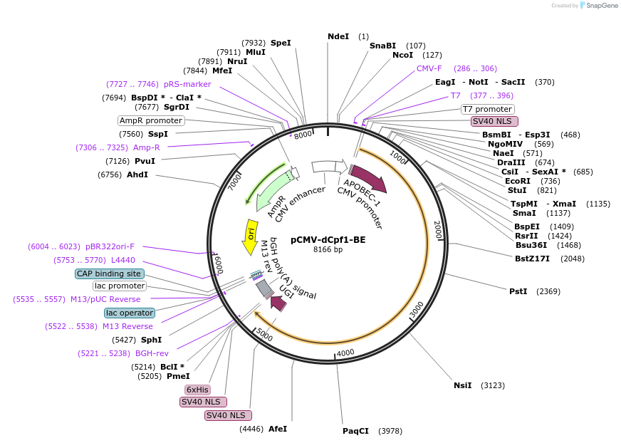 203062_map