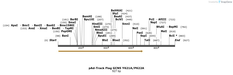 20309_map